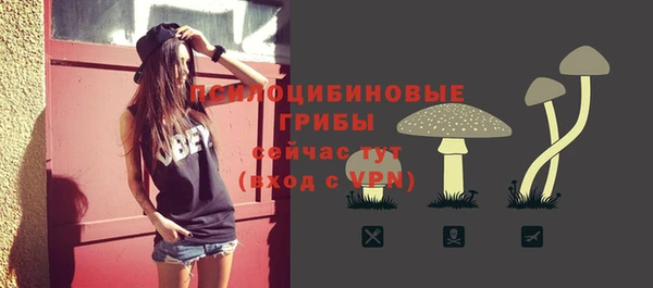 гидропоника Алзамай