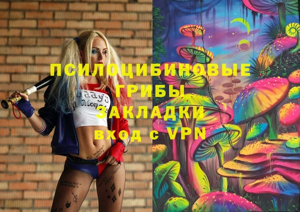 герыч Алексин