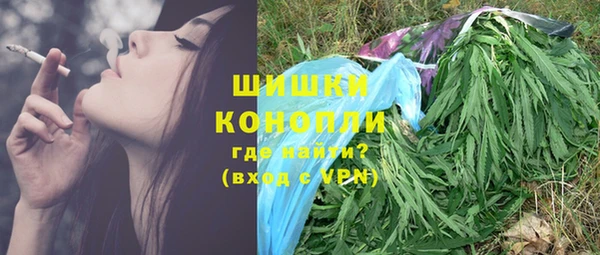 гидропоника Алзамай