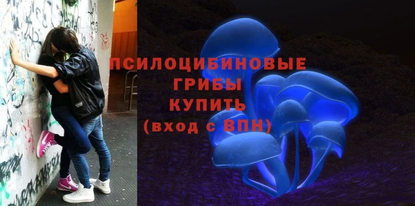 герыч Алексин