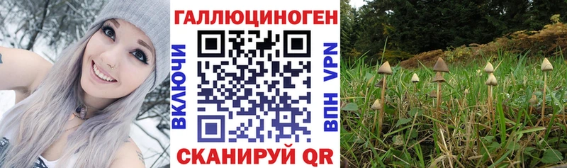 Псилоцибиновые грибы Magic Shrooms  Калач-на-Дону 