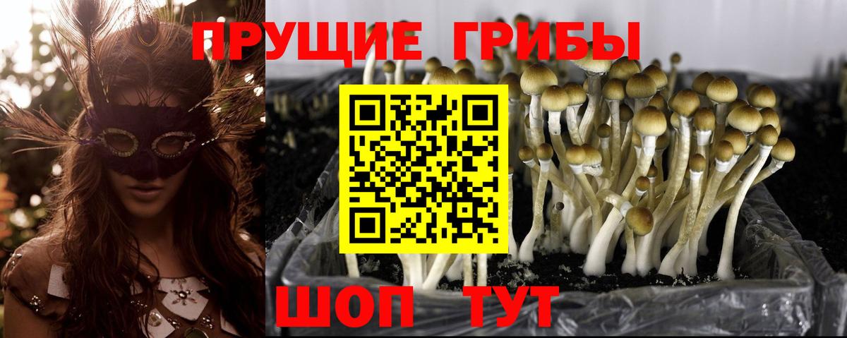 Галлюциногенные грибы мицелий  Вход с VPN  Галлюциногенные грибы MAGIC MUSHROOMS  Калач-на-Дону 